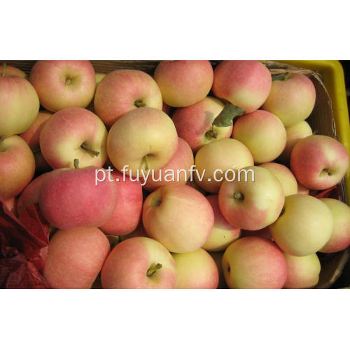 Preço de mercado para maçã de gala para vendas